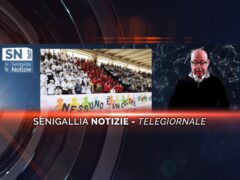 videogiornale terremoto