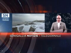 videogiornale neve