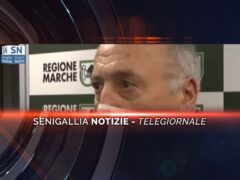 videogiornale saltamartini panzini