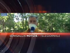 videogiornale boscomio