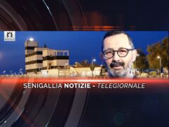 videogiornale annaffiamo radici