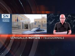 videogiornale vigor