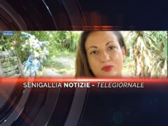 videogiornale enzo carli