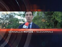 videogiornale bcc