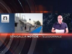 senigallia notizie telegiornale