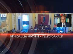 senigallia notizie telegiornale