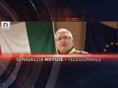 senigallia notizie telegiornale