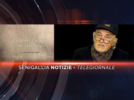 senigallia notizie telegiornale