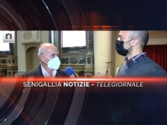 senigallia notizie telegiornale