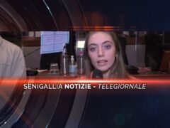 senigallia notizie telegiornale