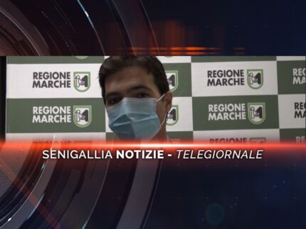 senigallia notizie telegiornale