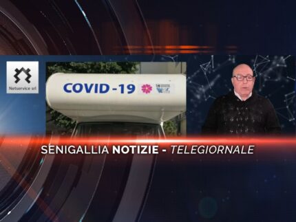 senigallia notizie telegiornale