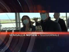 senigallia notizie telegiornale