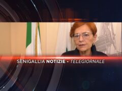 senigallia notizie telegiornale