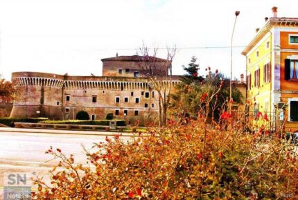 La fortezza di Senigallia - Rocca e cespugli - Foto di Fedele Ruvio