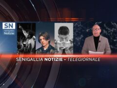 senigallia notizie telegiornale