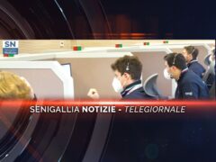 senigallia notizie telegiornale