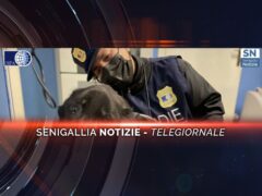 senigallia notizie telegiornale