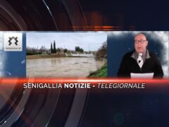 senigallia notizie telegiornale