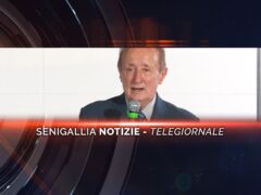 senigallia notizie telegiornale