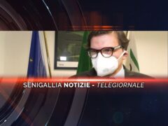 senigallia notizie telegiornale