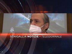 senigallia notizie telegiornale