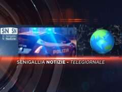 senigallia notizie telegiornale