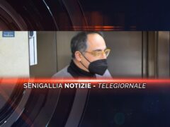 senigallia notizie telegiornale