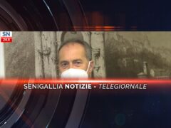 senigallia notizie telegiornale