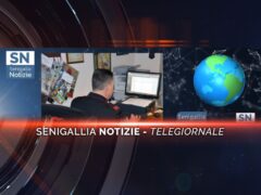 senigallia notizie telegiornale