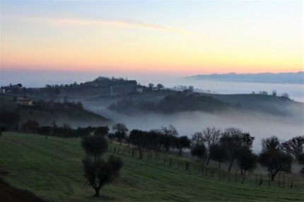 campagna