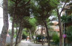 Viale Garibaldi