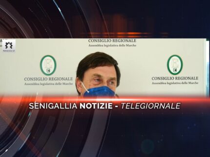 senigallia notizie telegiornale