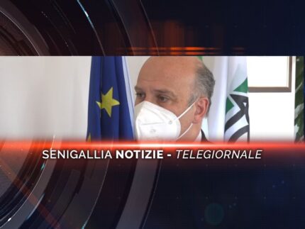 senigallia notizie telegiornale