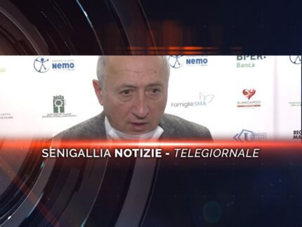 senigallia notizie telegiornale