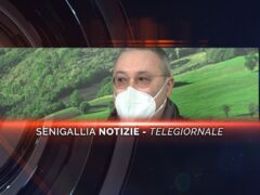 senigallia notizie telegiornale