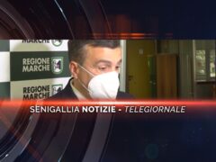 senigallia notizie telegiornale