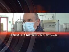 senigallia notizie telegiornale