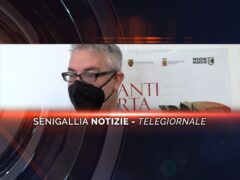 senigallia notizie telegiornale