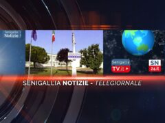 senigallia notizie telegiornale