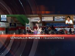 senigallia notizie telegiornale