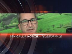 senigallia notizie telegiornale