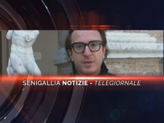 senigallia notizie telegiornale