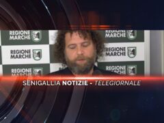 senigallia notizie telegiornale