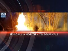 senigallia notizie telegiornale