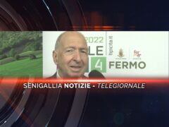 senigallia notizie telegiornale