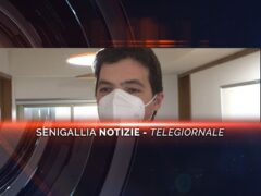 senigallia notizie telegiornale