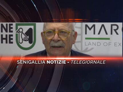 senigallia notizie telegiornale