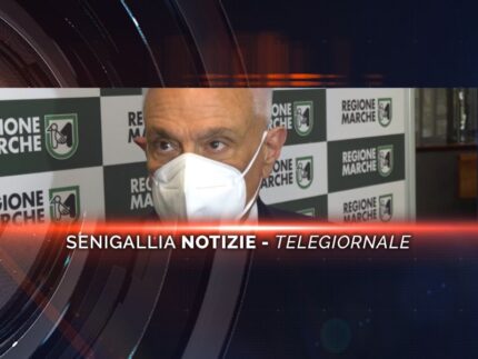 senigallia notizie telegiornale