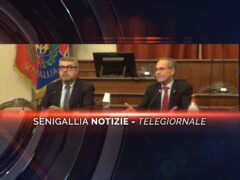 senigallia notizie telegiornale